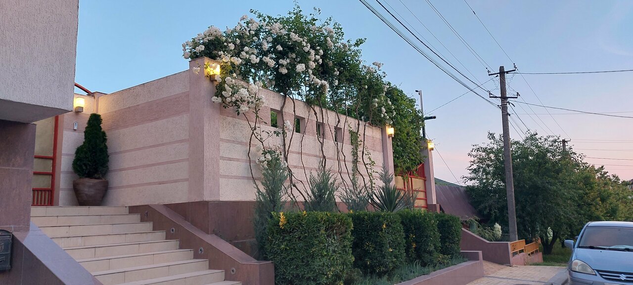 Гостиница Винговер Сукко-65