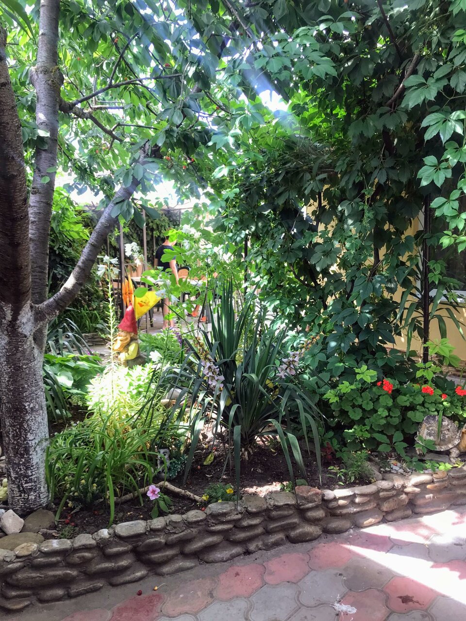 Гостиница Винговер Сукко-138