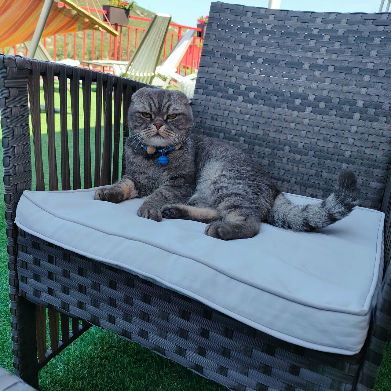 Гостиница Винговер Сукко-124