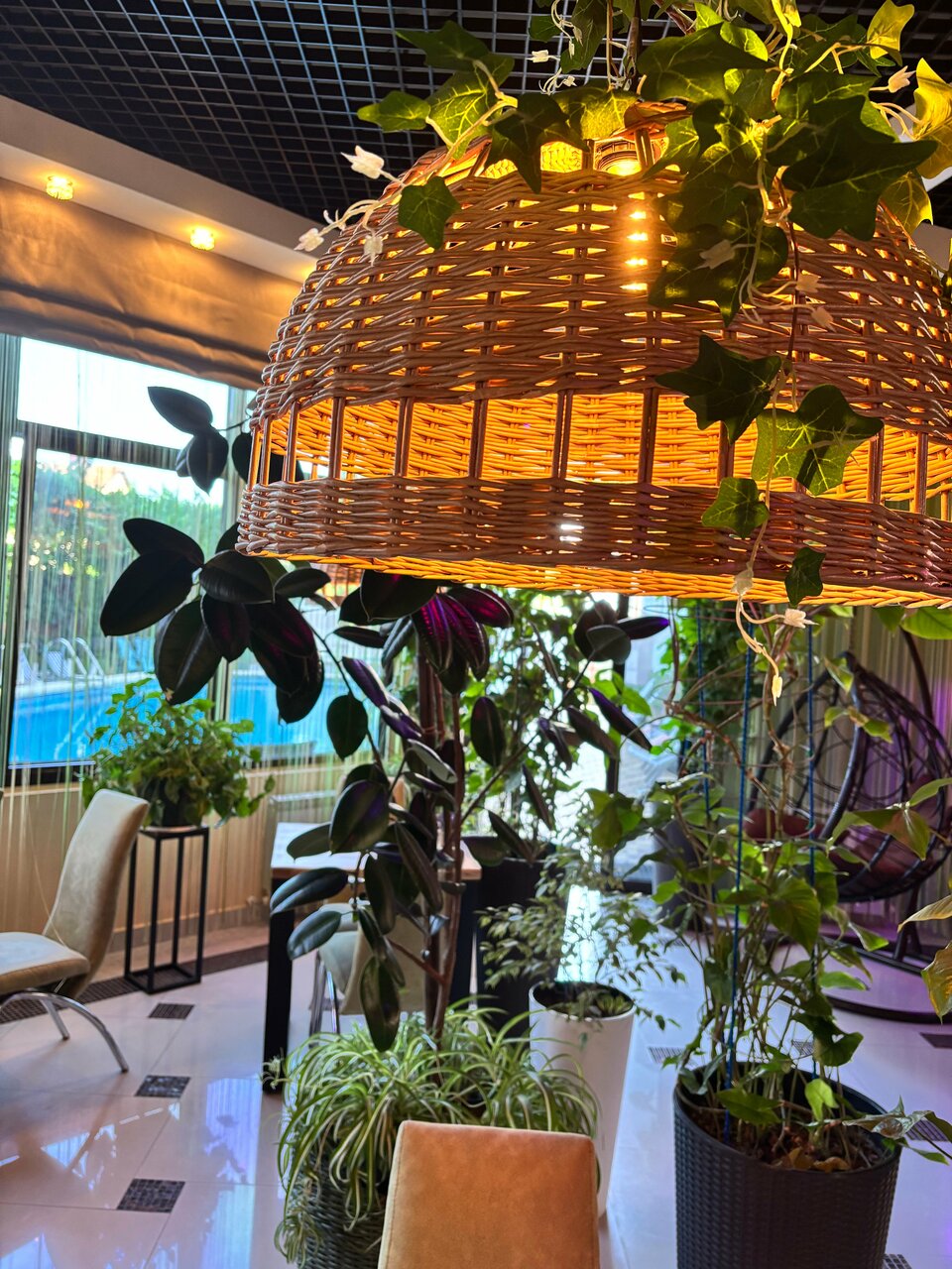 Гостиница Винговер Сукко-223