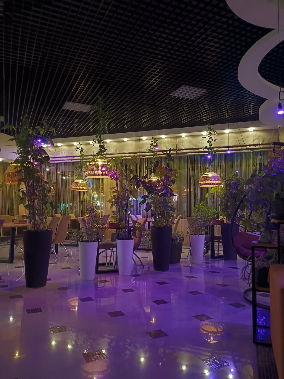 Гостиница Винговер Сукко-249