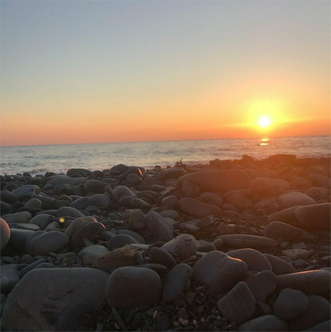 Гостиница Винговер Сукко