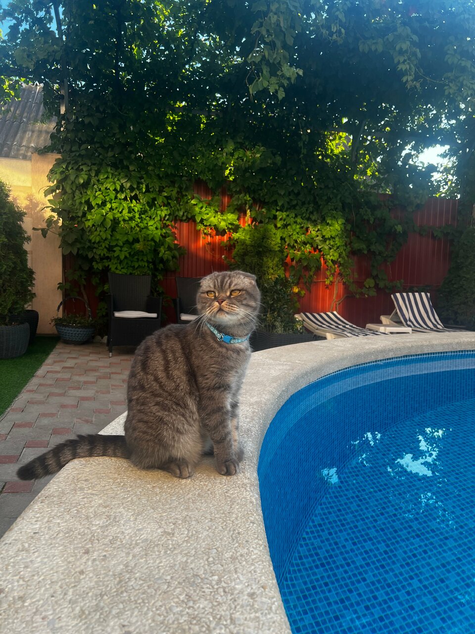 Гостиница Винговер Сукко-240