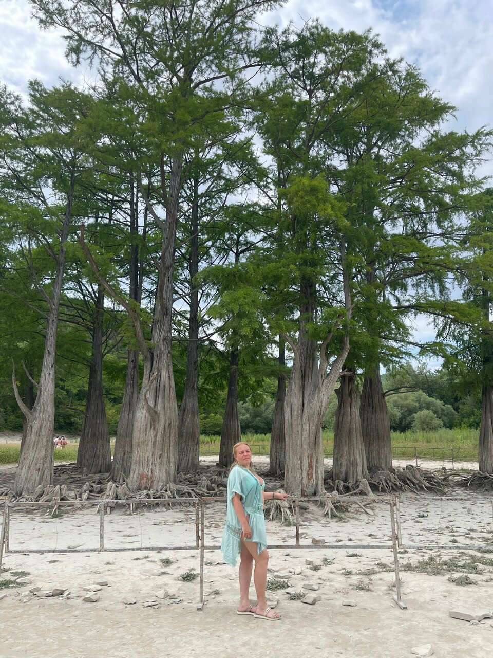 Гостиница Винговер Сукко-77