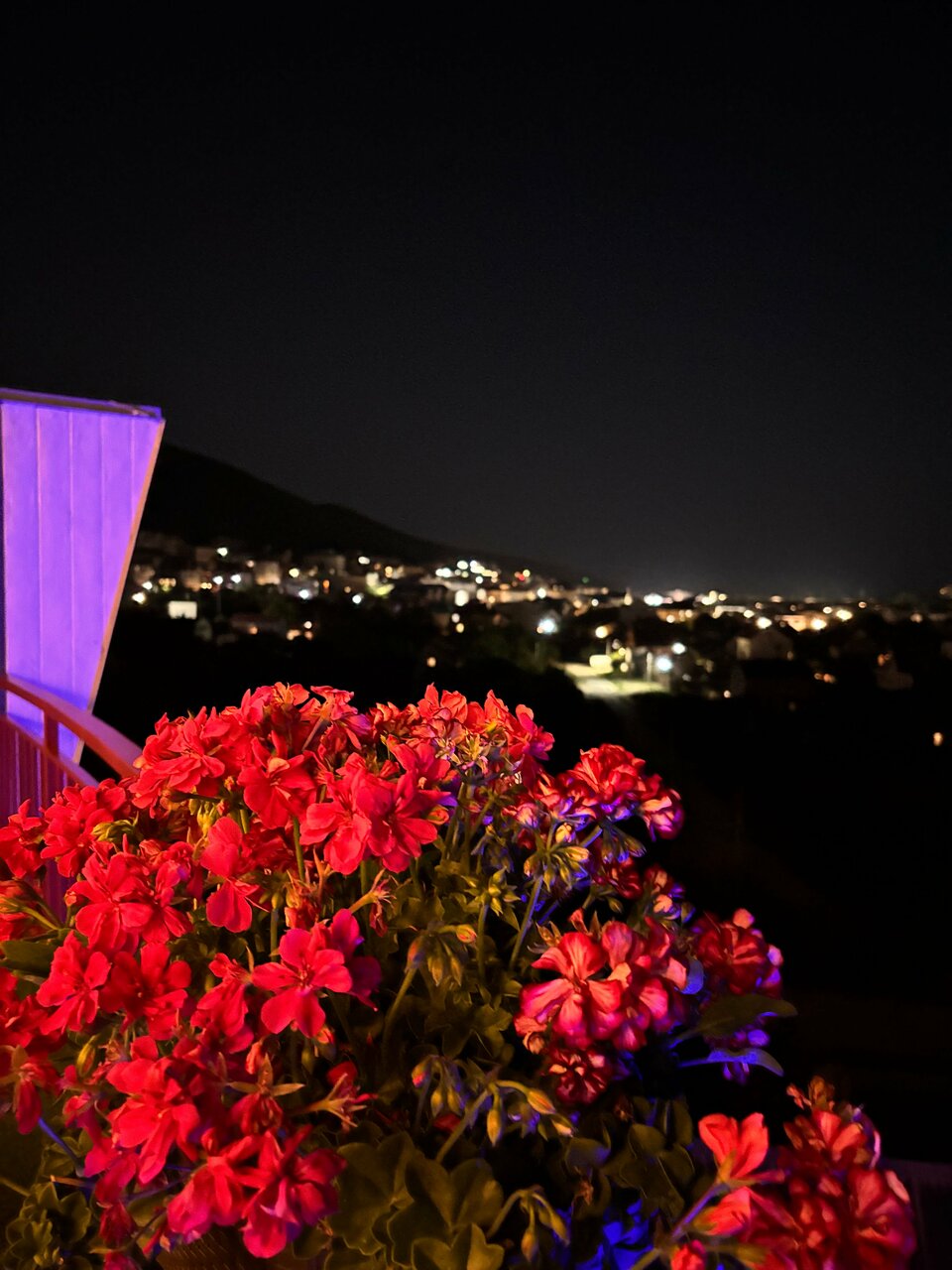 Гостиница Винговер Сукко