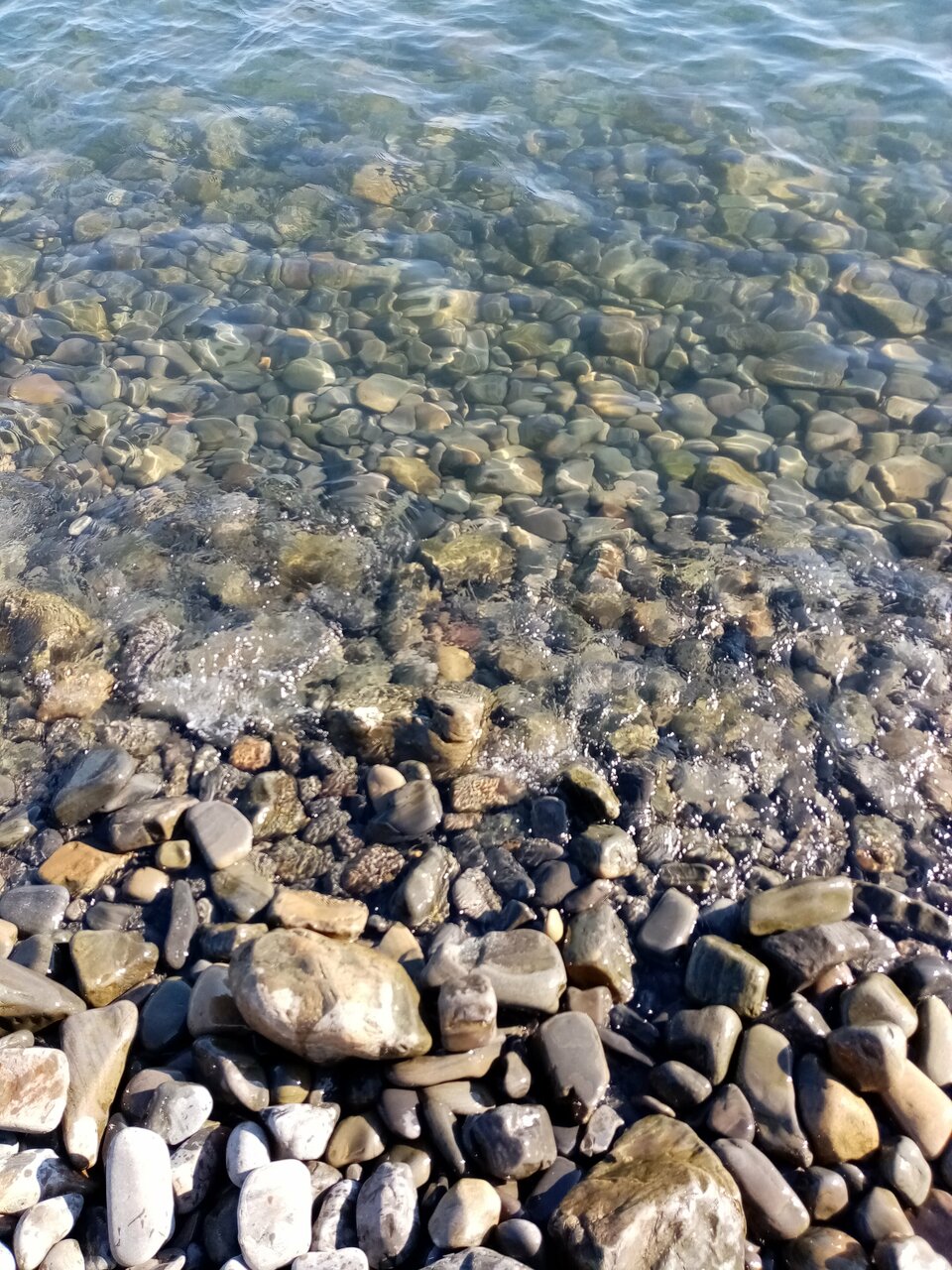 Гостиница Винговер Сукко-238