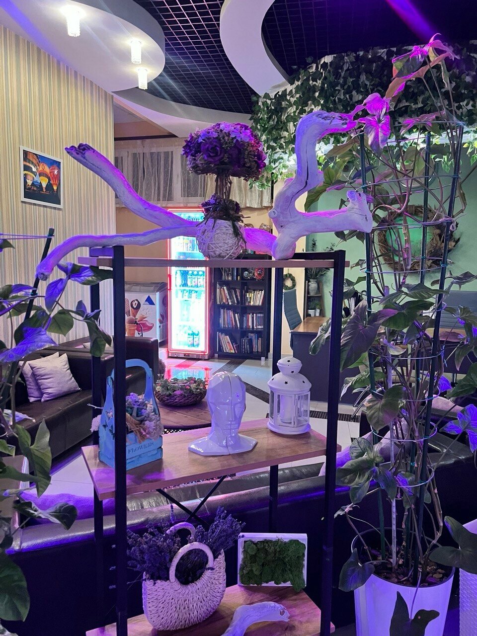 Гостиница Винговер Сукко-21