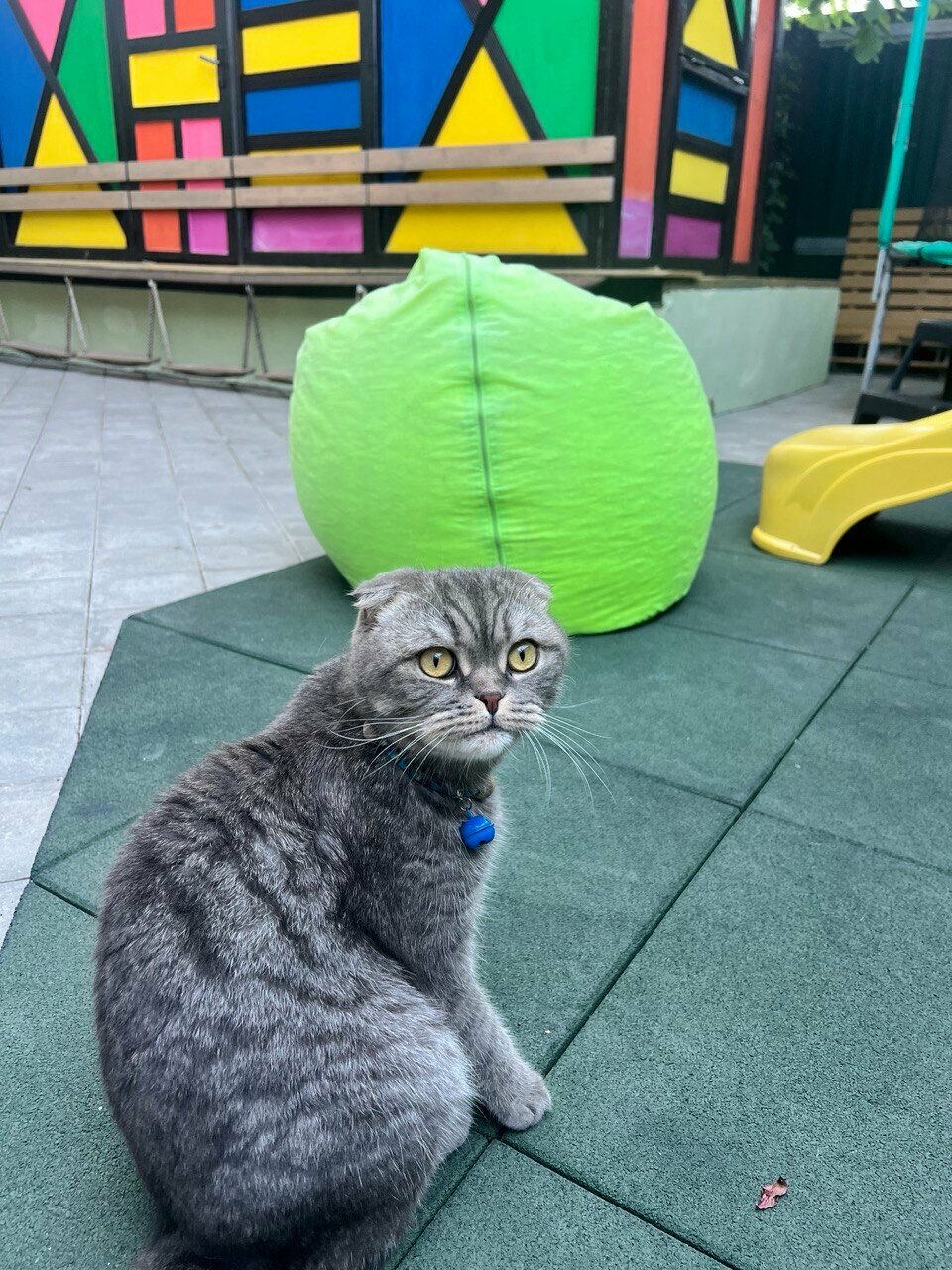 Гостиница Винговер Сукко-151