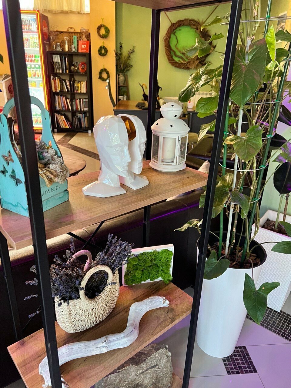 Гостиница Винговер Сукко-149