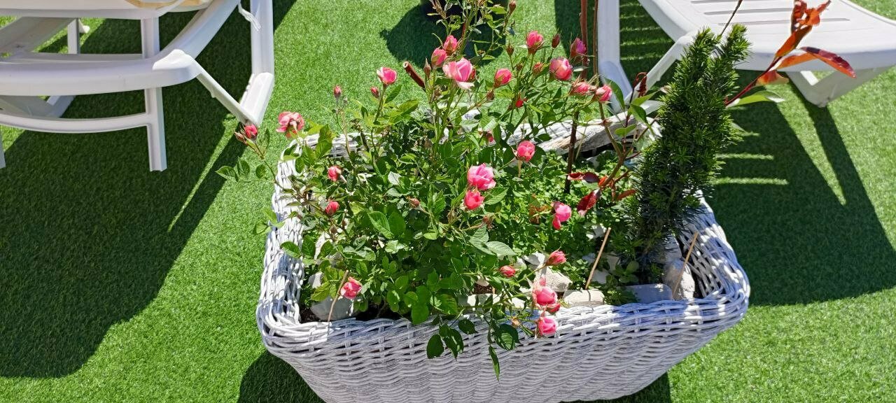 Гостиница Винговер Сукко-193