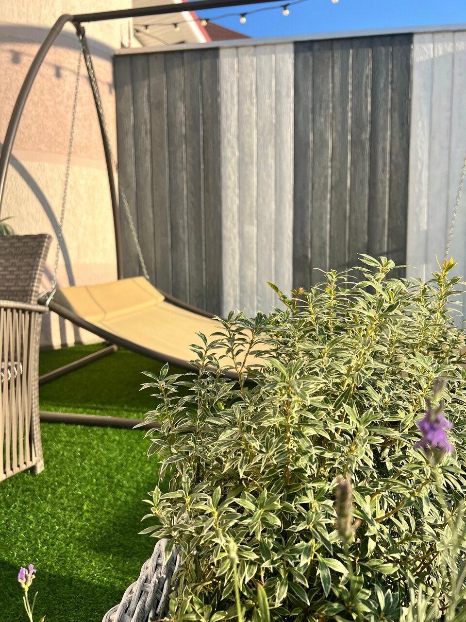 Гостиница Винговер Сукко-110