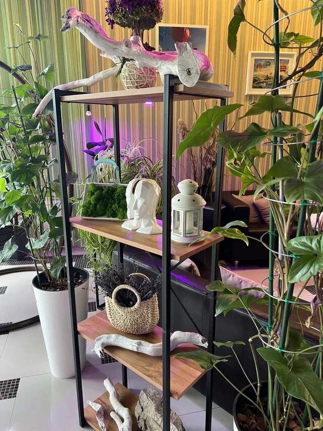 Гостиница Винговер Сукко-21