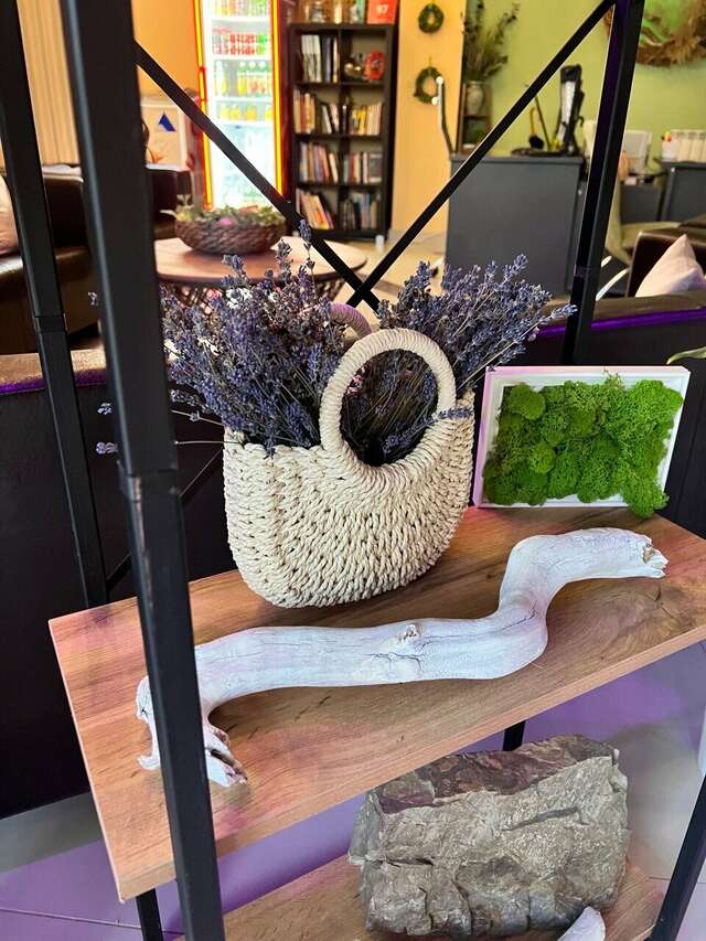 Гостиница Винговер Сукко-149