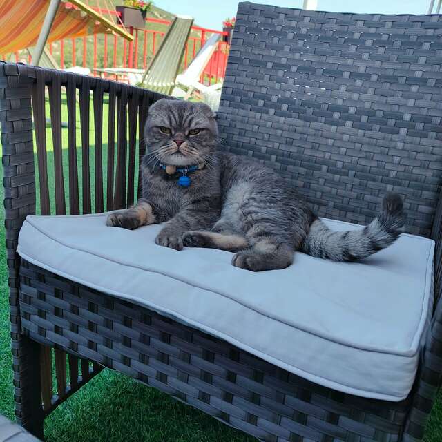 Гостиница Винговер Сукко-123