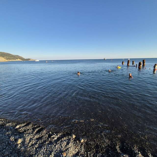 Гостиница Винговер Сукко-242