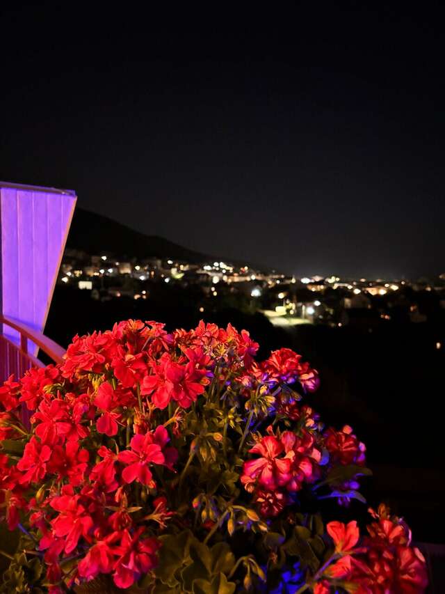 Гостиница Винговер Сукко-225