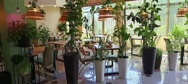 Гостиница Винговер Сукко-199