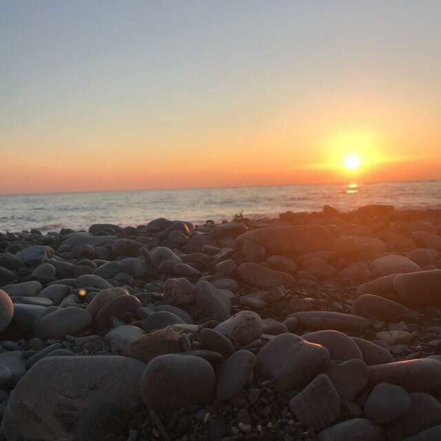 Гостиница Винговер Сукко-124