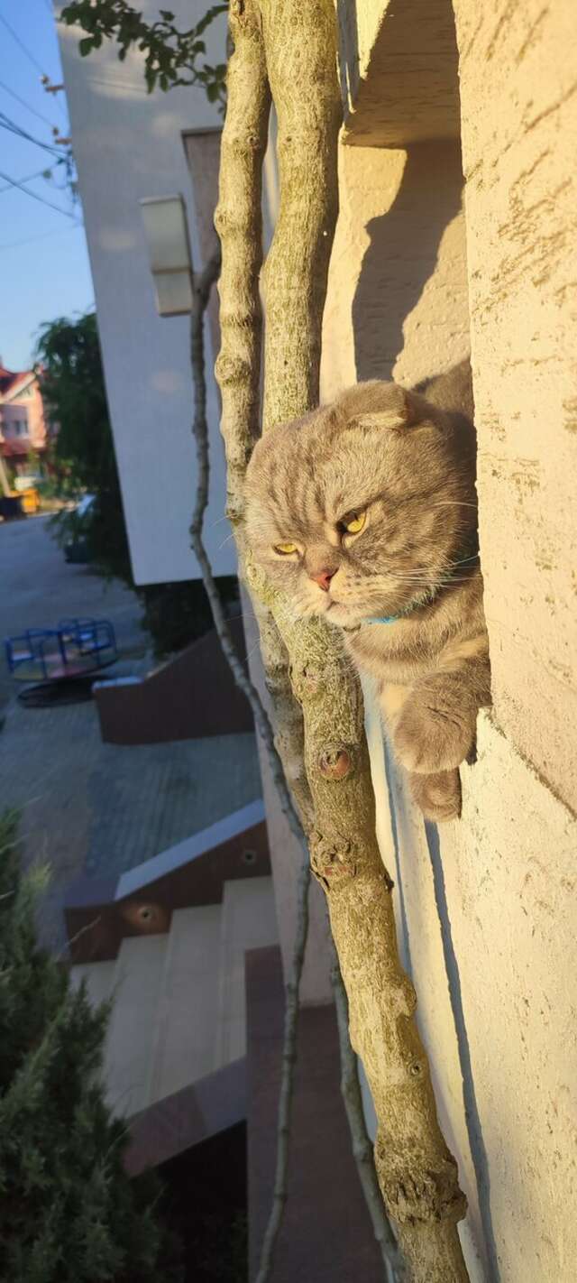 Гостиница Винговер Сукко-217