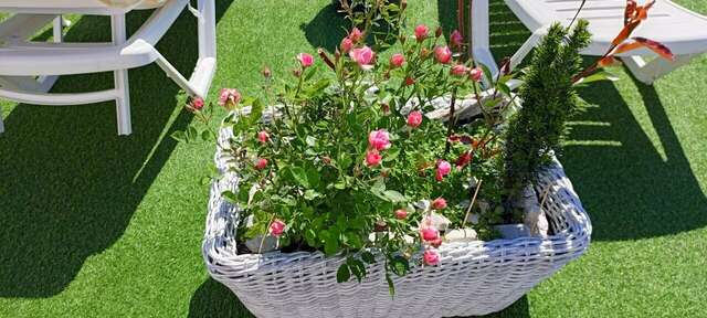 Гостиница Винговер Сукко-192