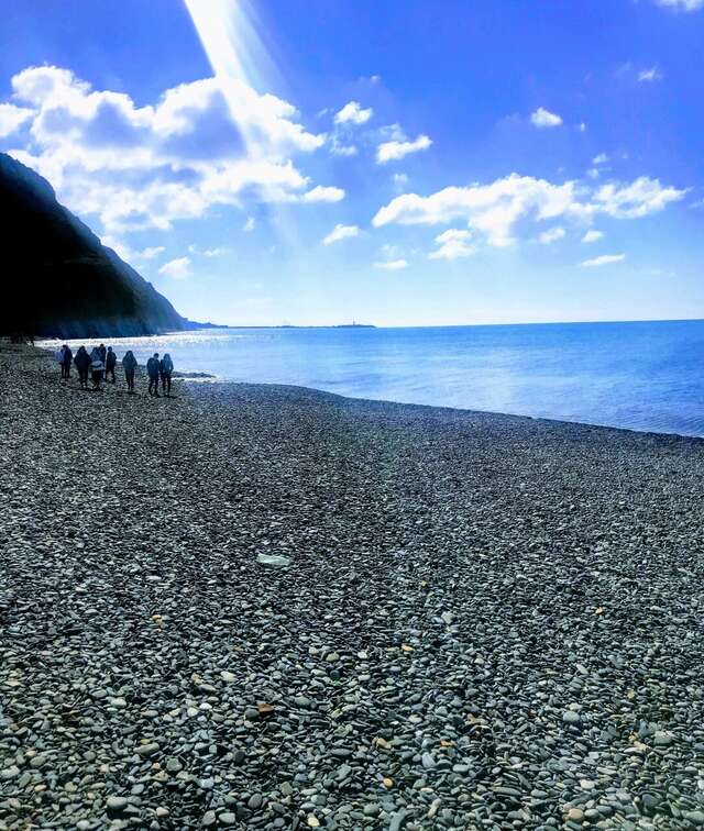 Гостиница Винговер Сукко-101